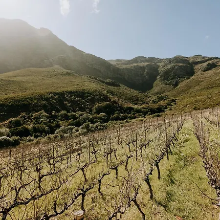 Little Villa In The Vineyard Stellenbosch Exterior photo