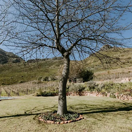 Little Villa In The Vineyard Stellenbosch Exterior photo