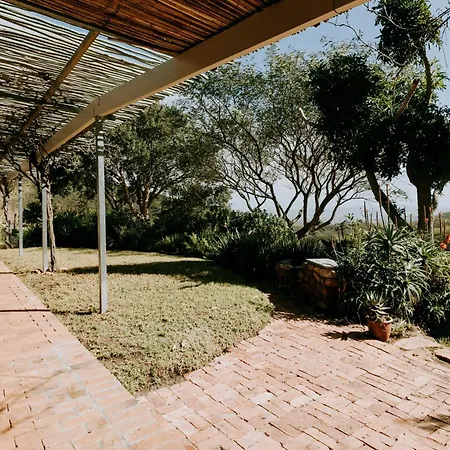 Little Villa In The Vineyard Stellenbosch Exterior photo